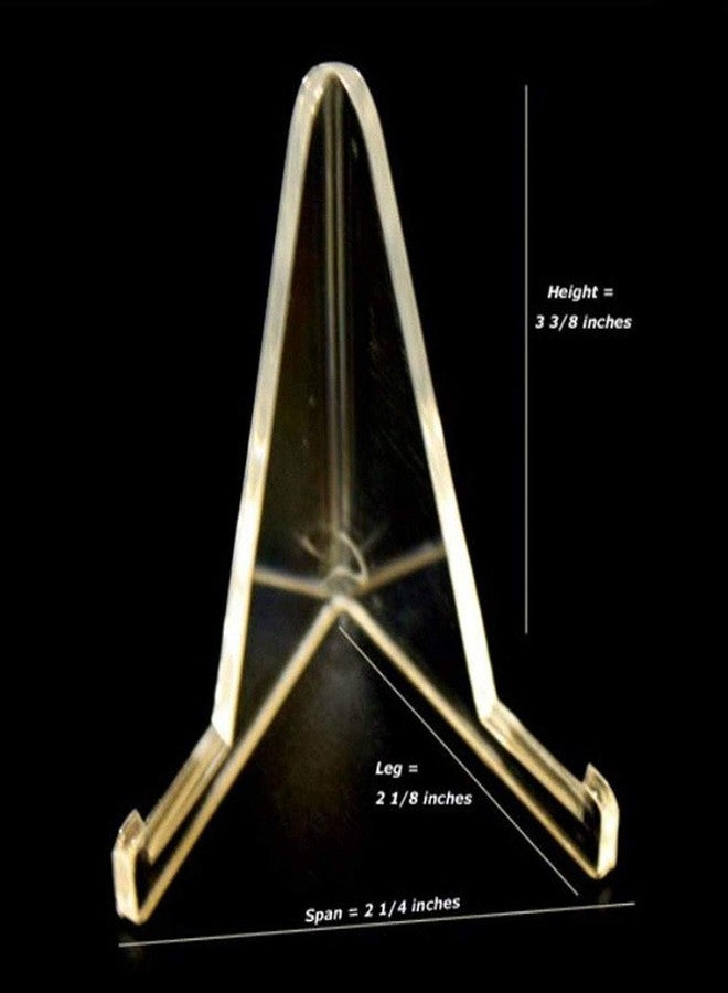 DeepSeaFossils Custom Megalodon Shark Tooth Display Stand (Specifically Made for a 3.5 to a 6 Tooth) - Image 2